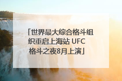 世界最大综合格斗组织重启上海站 UFC格斗之夜8月上演