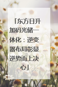 东方日升加码光储一体化：逆变器布局彰显逆势而上决心