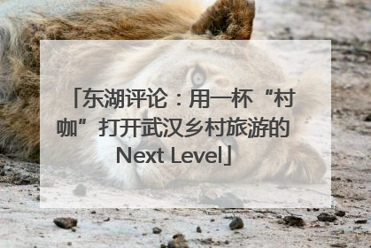 东湖评论：用一杯“村咖”打开武汉乡村旅游的Next Level