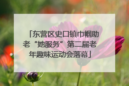 东营区史口镇巾帼助老“她服务”第二届老年趣味运动会落幕