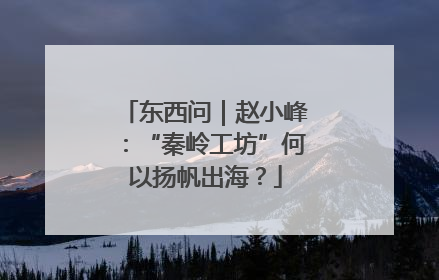 东西问｜赵小峰：“秦岭工坊”何以扬帆出海？