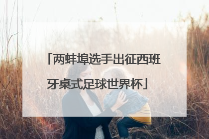 两蚌埠选手出征西班牙桌式足球世界杯