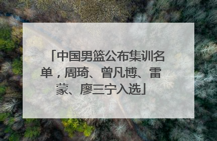 中国男篮公布集训名单，周琦、曾凡博、雷蒙、廖三宁入选