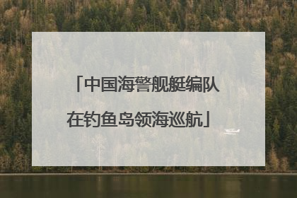 中国海警舰艇编队在钓鱼岛领海巡航