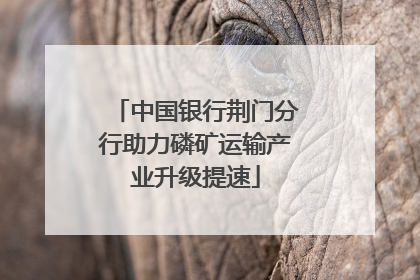 中国银行荆门分行助力磷矿运输产业升级提速