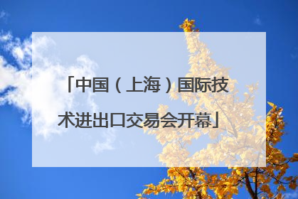 中国（上海）国际技术进出口交易会开幕