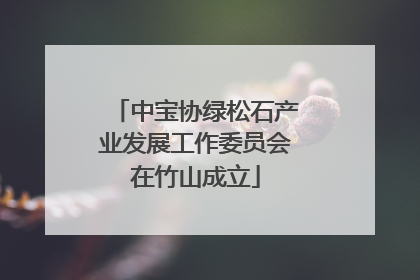 中宝协绿松石产业发展工作委员会在竹山成立