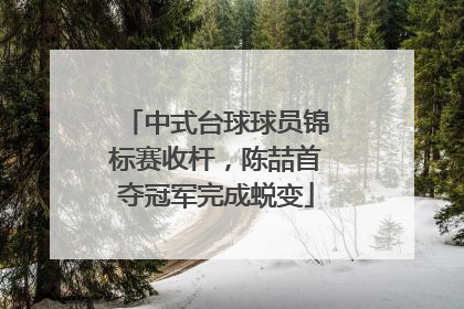 中式台球球员锦标赛收杆，陈喆首夺冠军完成蜕变