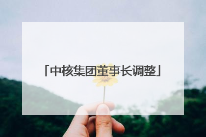 中核集团董事长调整