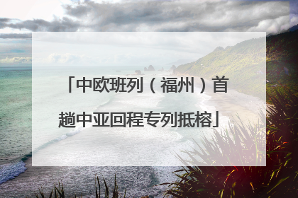 中欧班列（福州）首趟中亚回程专列抵榕