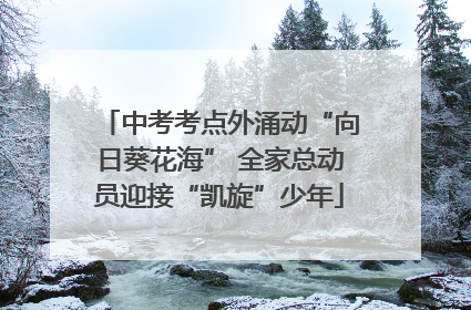 中考考点外涌动“向日葵花海” 全家总动员迎接“凯旋”少年