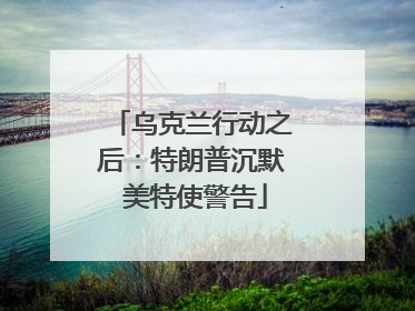乌克兰行动之后：特朗普沉默 美特使警告