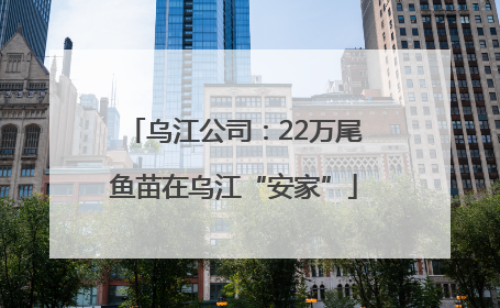 乌江公司：22万尾鱼苗在乌江“安家”