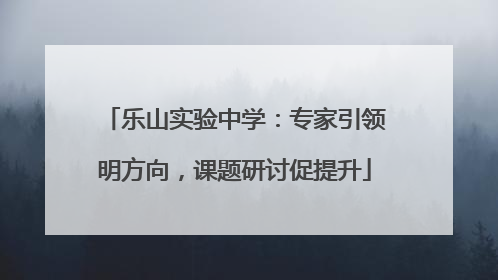 乐山实验中学：专家引领明方向，课题研讨促提升