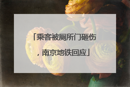乘客被厕所门砸伤，南京地铁回应