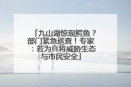 九山湖惊现鳄鱼？部门紧急巡查！专家：若为真将威胁生态与市民安全
