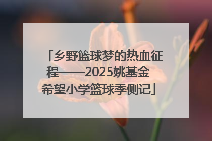乡野篮球梦的热血征程——2025姚基金希望小学篮球季侧记