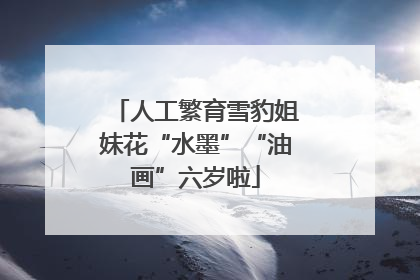 人工繁育雪豹姐妹花“水墨”“油画”六岁啦