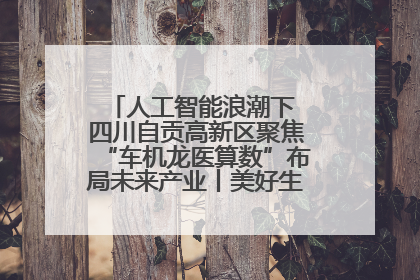 人工智能浪潮下 四川自贡高新区聚焦“车机龙医算数”布局未来产业丨美好生活有“盐”味