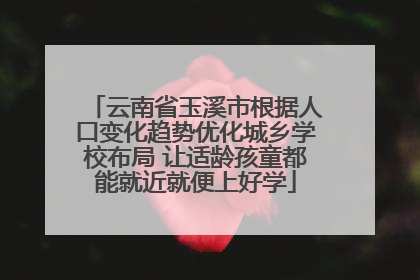云南省玉溪市根据人口变化趋势优化城乡学校布局 让适龄孩童都能就近就便上好学