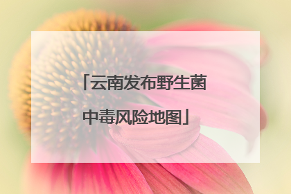 云南发布野生菌中毒风险地图