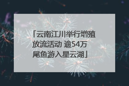 云南江川举行增殖放流活动 逾54万尾鱼游入星云湖