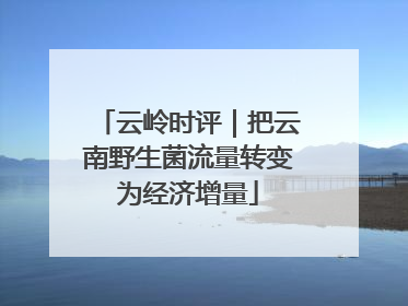 云岭时评｜把云南野生菌流量转变为经济增量