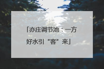 亦庄调节池：一方好水引“客”来