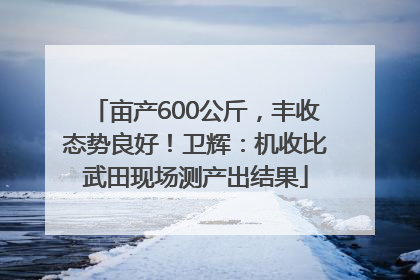 亩产600公斤，丰收态势良好！卫辉：机收比武田现场测产出结果