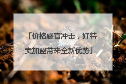 价格感官冲击，好特卖加盟带来全新优势