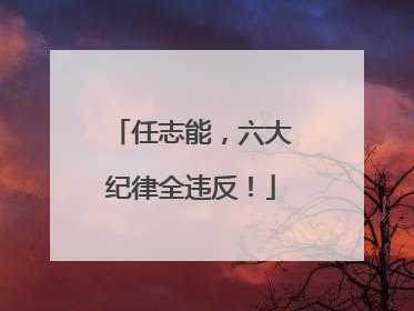 任志能，六大纪律全违反！