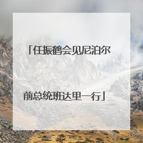 任振鹤会见尼泊尔前总统班达里一行