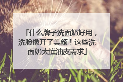 什么牌子洗面奶好用，洗脸像开了美颜！这些洗面奶太懂油皮需求