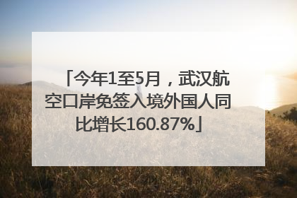 今年1至5月，武汉航空口岸免签入境外国人同比增长160.87%
