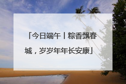 今日端午丨粽香飘春城，岁岁年年长安康