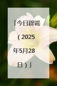 今日辟谣（2025年5月28日）