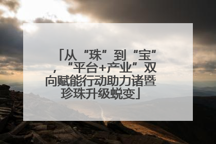 从“珠”到“宝”，“平台+产业”双向赋能行动助力诸暨珍珠升级蜕变