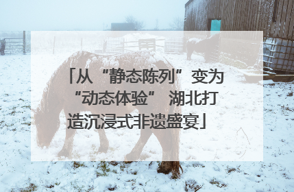 从“静态陈列”变为“动态体验” 湖北打造沉浸式非遗盛宴