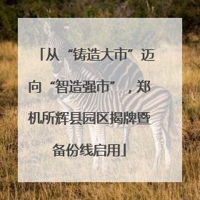 从“铸造大市”迈向“智造强市”，郑机所辉县园区揭牌暨备份线启用