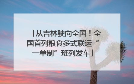 从吉林驶向全国！全国首列粮食多式联运“一单制”班列发车