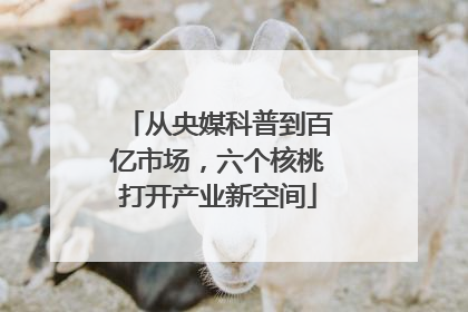从央媒科普到百亿市场，六个核桃打开产业新空间