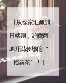 从徐家汇源到日喀则，沪藏两地开满梦想的“格桑花”！