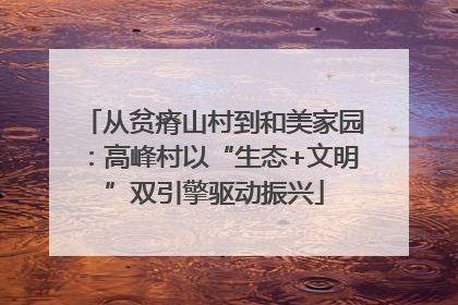 从贫瘠山村到和美家园：高峰村以“生态+文明”双引擎驱动振兴