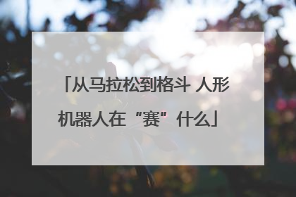 从马拉松到格斗 人形机器人在“赛”什么