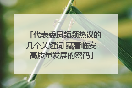 代表委员频频热议的几个关键词 藏着临安高质量发展的密码