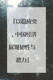 以稳应变，中国经济展现韧性与潜力