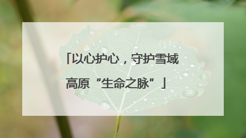 以心护心，守护雪域高原“生命之脉”