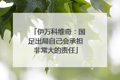 伊万科维奇：国足出局自己会承担非常大的责任
