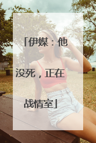 伊媒：他没死，正在战情室