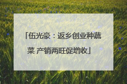 伍光豪：返乡创业种蔬菜 产销两旺促增收